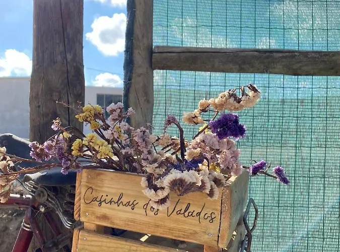 Casinhas Dos Valados ホリデーパーク アトウギア・ダ・バレイア